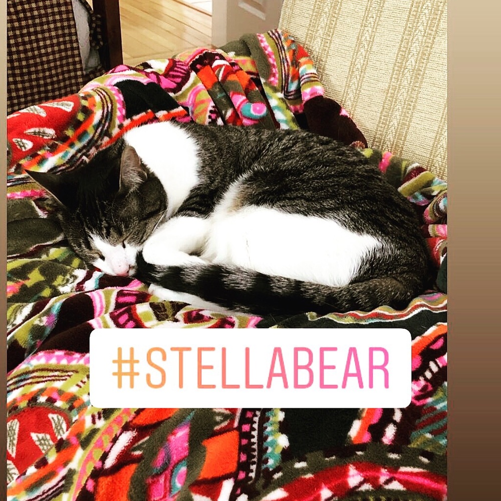 Meet your Posher, Monica